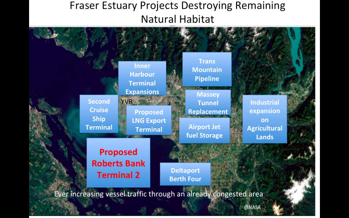 Fraser_Estuary_Threats.jpeg